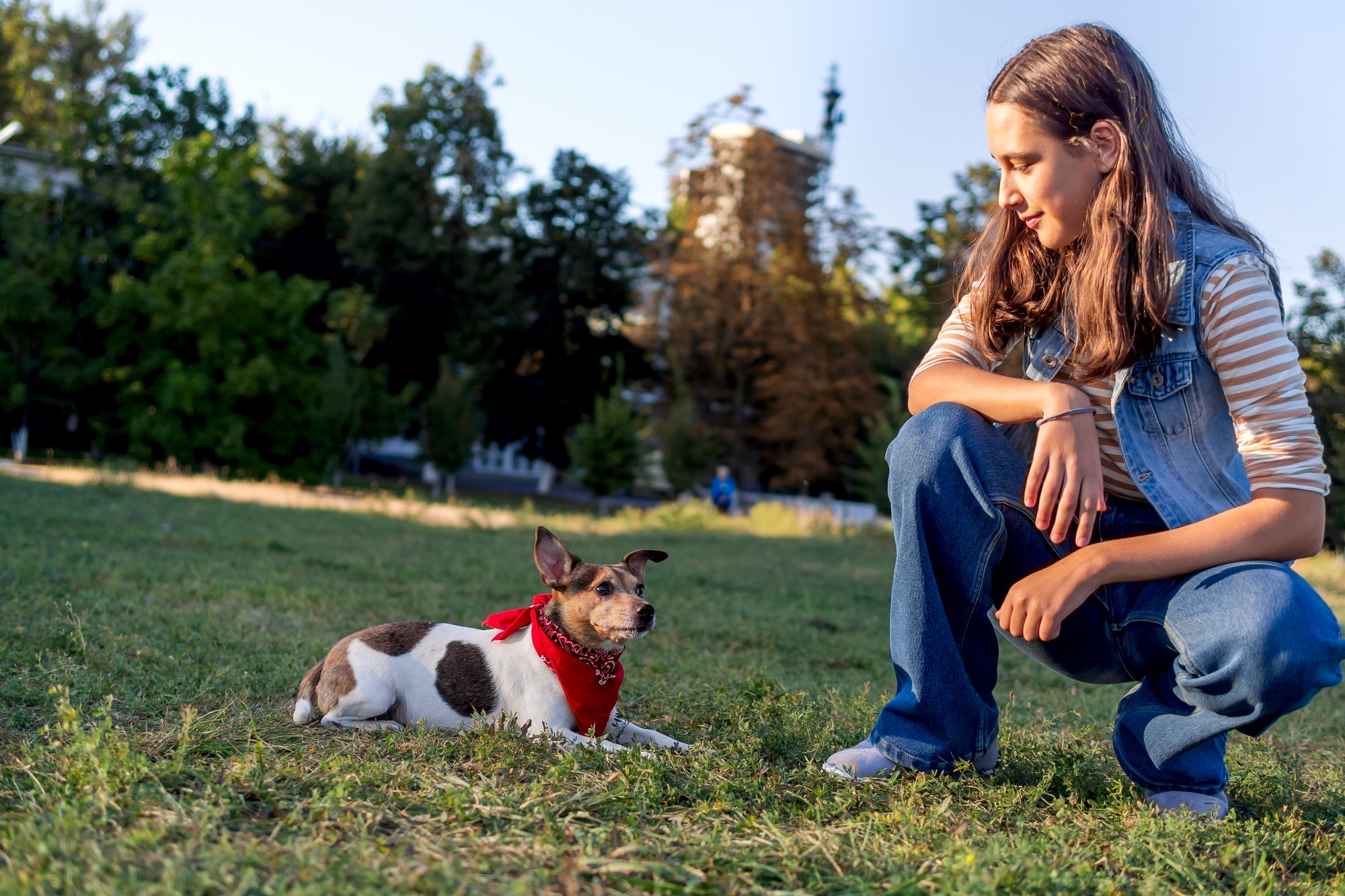 a-teenage-girl-trains-a-cute-pet-dog-jack-russell-on-the-grass-in-a-doggy-park-in-the-autumn-evening.jpg